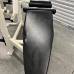 Strive Leg extension and prone hamstring curl