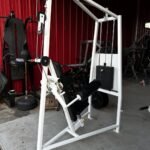 Cybex Classic Lateral Raise for Sale
