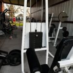 Cybex Classic Lateral Raise for Sale