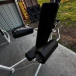 Cybex Classic Lateral Raise for Sale